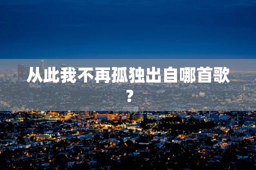 从此我不再孤独出自哪首歌？