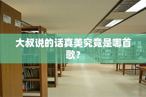 大叔说的话真美究竟是哪首歌？