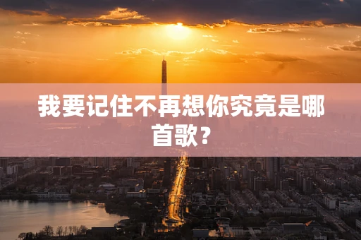 我要记住不再想你究竟是哪首歌？