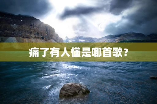 痛了有人懂是哪首歌？