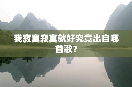 我寂寞寂寞就好究竟出自哪首歌？
