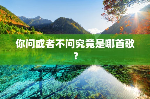 你问或者不问究竟是哪首歌？