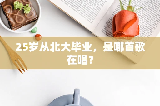 25岁从北大毕业，是哪首歌在唱？