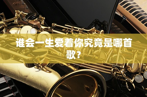 谁会一生爱着你究竟是哪首歌？