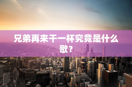 兄弟再来干一杯究竟是什么歌？