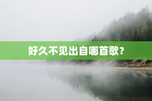 好久不见出自哪首歌？
