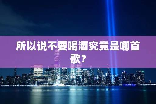 所以说不要喝酒究竟是哪首歌？