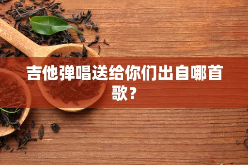 吉他弹唱送给你们出自哪首歌？