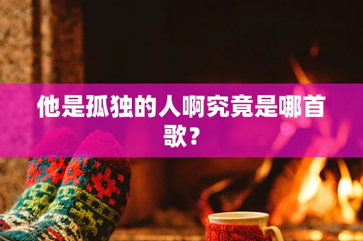 他是孤独的人啊究竟是哪首歌？