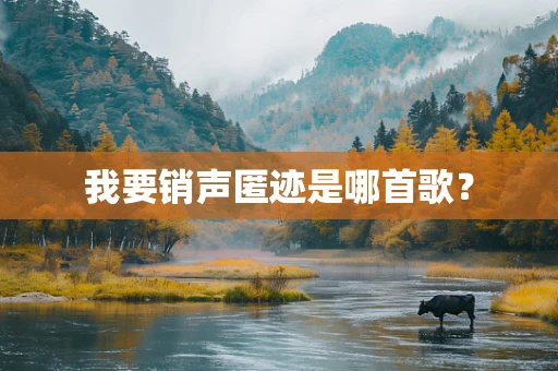 我要销声匿迹是哪首歌？