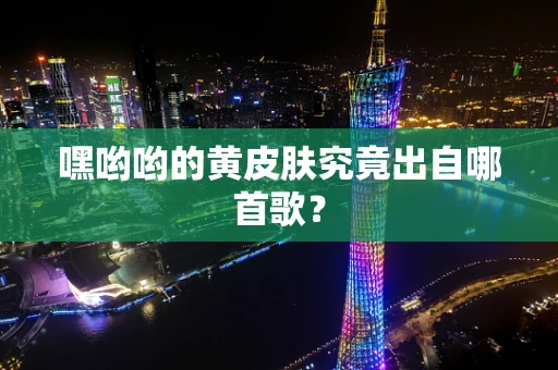 嘿哟哟的黄皮肤究竟出自哪首歌？