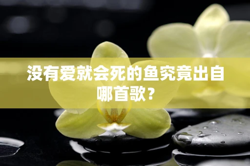 没有爱就会死的鱼究竟出自哪首歌？