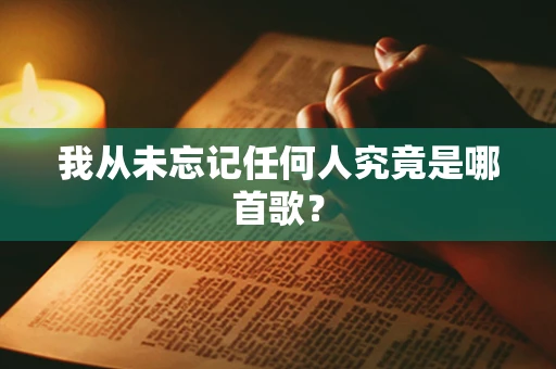 我从未忘记任何人究竟是哪首歌？
