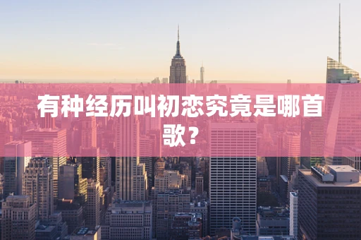 有种经历叫初恋究竟是哪首歌？