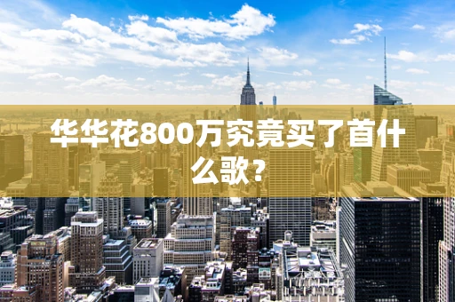 华华花800万究竟买了首什么歌？