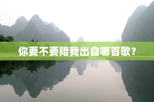 你要不要陪我出自哪首歌？
