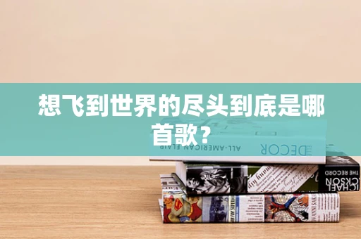 想飞到世界的尽头到底是哪首歌？