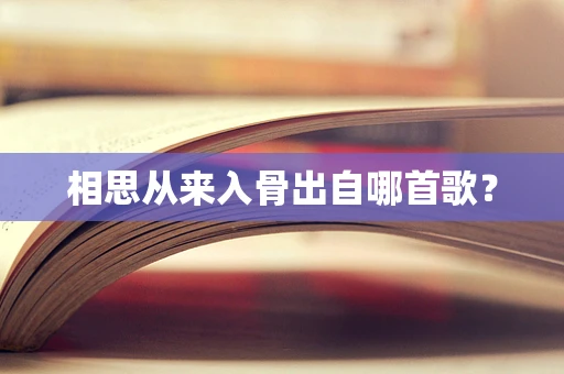 相思从来入骨出自哪首歌？