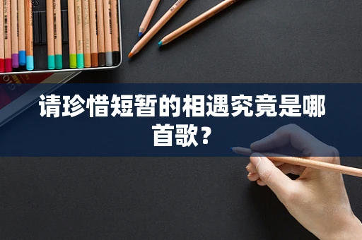 请珍惜短暂的相遇究竟是哪首歌？