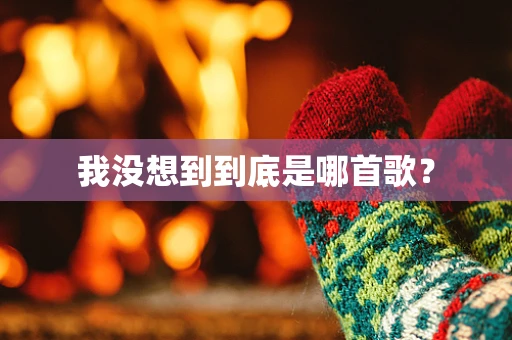 我没想到到底是哪首歌？