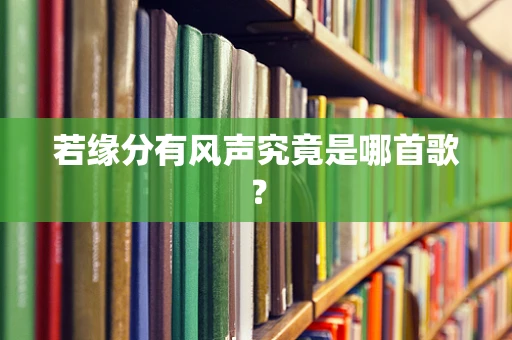 若缘分有风声究竟是哪首歌？
