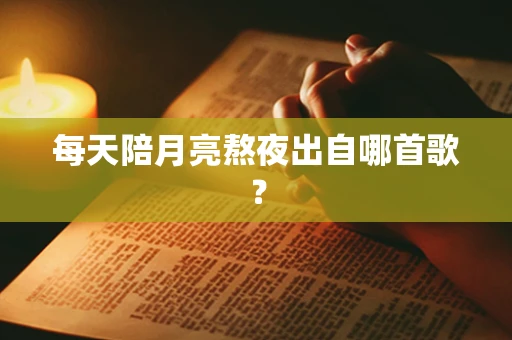 每天陪月亮熬夜出自哪首歌？