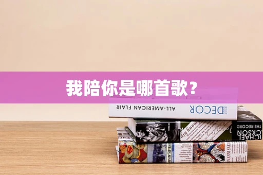 我陪你是哪首歌？