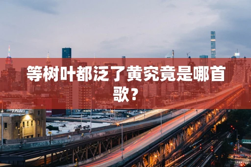 等树叶都泛了黄究竟是哪首歌？