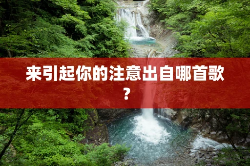 来引起你的注意出自哪首歌？