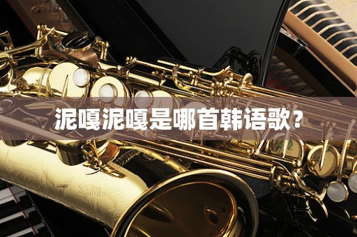 泥嘎泥嘎是哪首韩语歌？