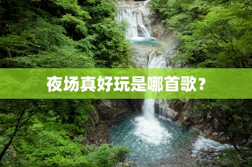 夜场真好玩是哪首歌？
