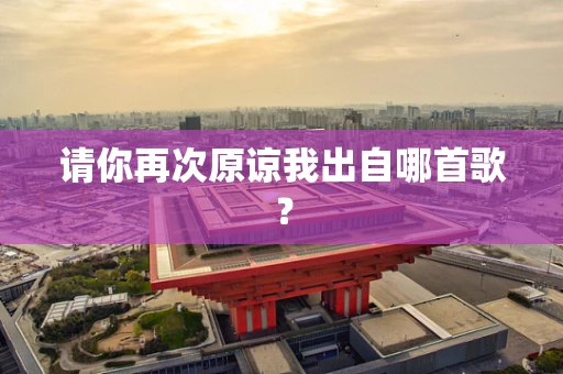 请你再次原谅我出自哪首歌？