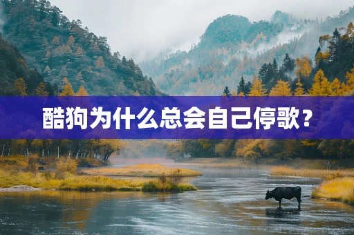 酷狗为什么总会自己停歌？