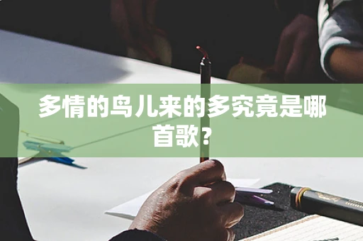 多情的鸟儿来的多究竟是哪首歌？