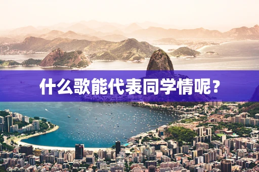 什么歌能代表同学情呢？