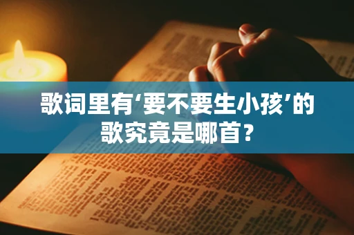 歌词里有‘要不要生小孩’的歌究竟是哪首？