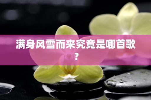 满身风雪而来究竟是哪首歌？