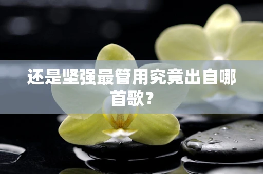还是坚强最管用究竟出自哪首歌？