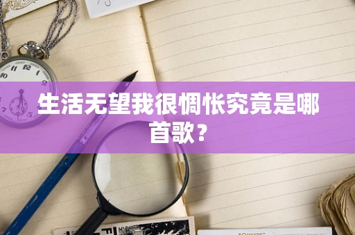 生活无望我很惆怅究竟是哪首歌？