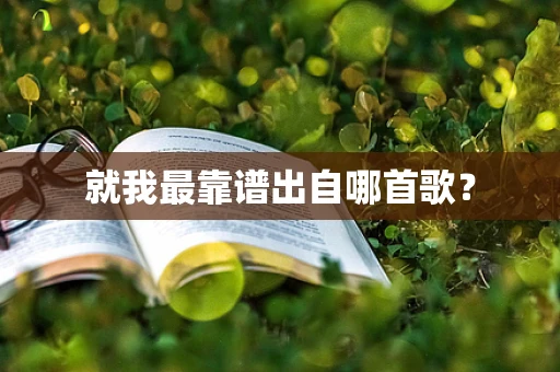 就我最靠谱出自哪首歌？