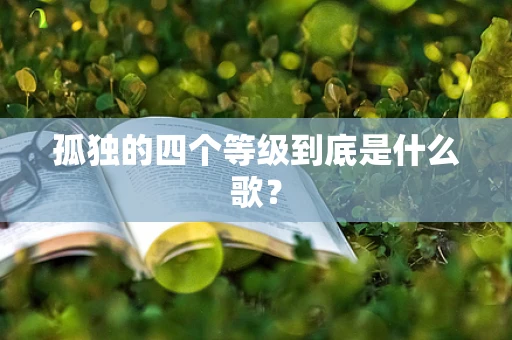 孤独的四个等级到底是什么歌？