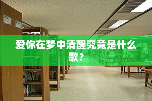 爱你在梦中清醒究竟是什么歌？