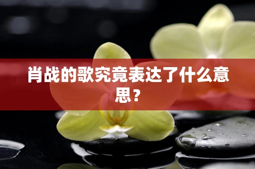 肖战的歌究竟表达了什么意思？