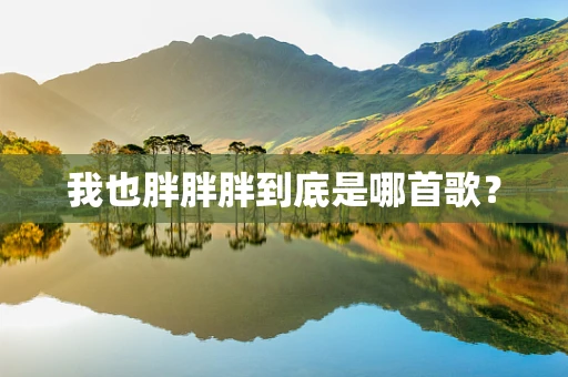 我也胖胖胖到底是哪首歌？