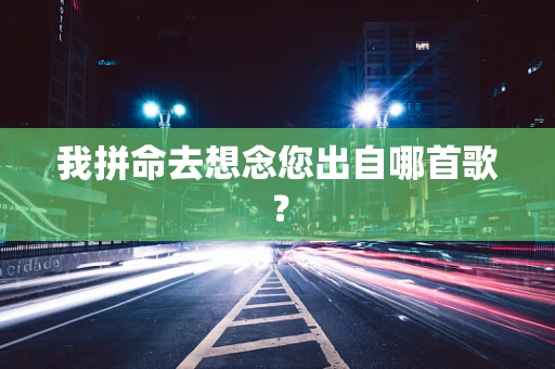 我拼命去想念您出自哪首歌？