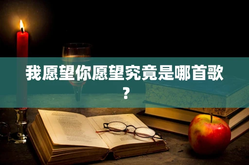 我愿望你愿望究竟是哪首歌？
