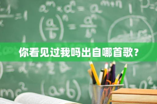 你看见过我吗出自哪首歌？