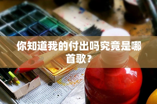你知道我的付出吗究竟是哪首歌？