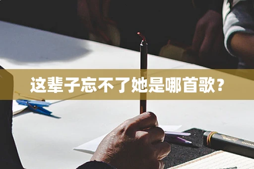 这辈子忘不了她是哪首歌？