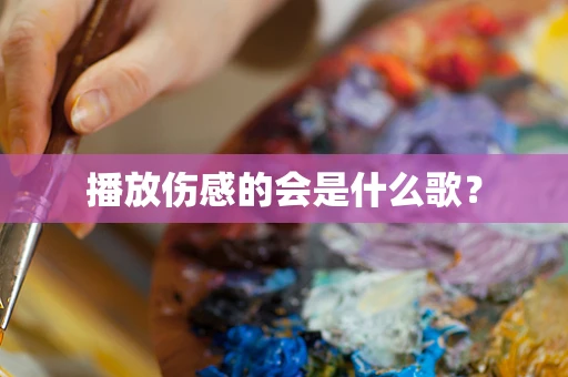 播放伤感的会是什么歌？